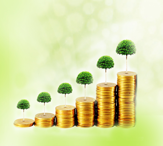 Anticipated Endowment (3 stage Payment) insurance Plan (with profit)